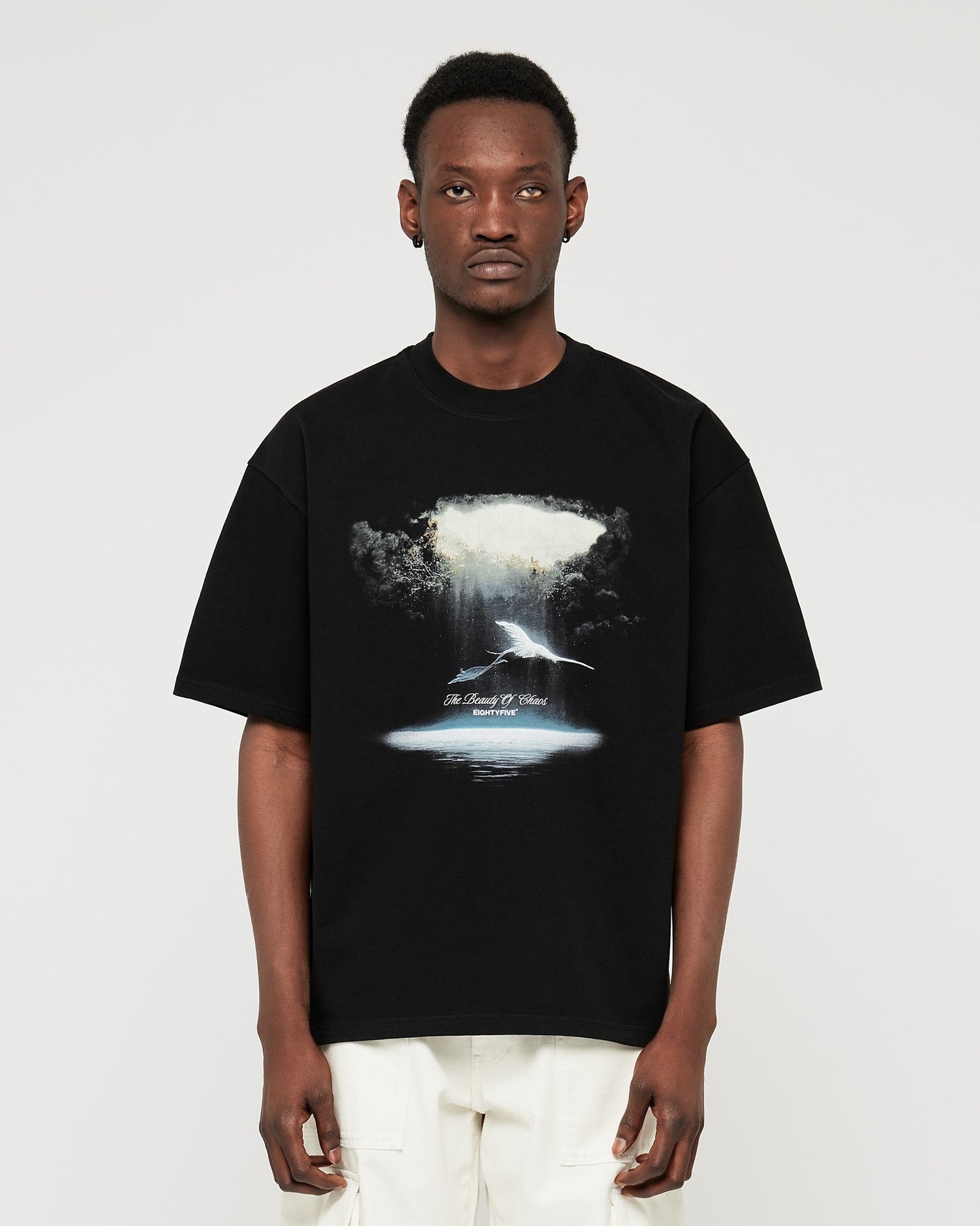 Heavy Beauty of Chaos T-Shirt